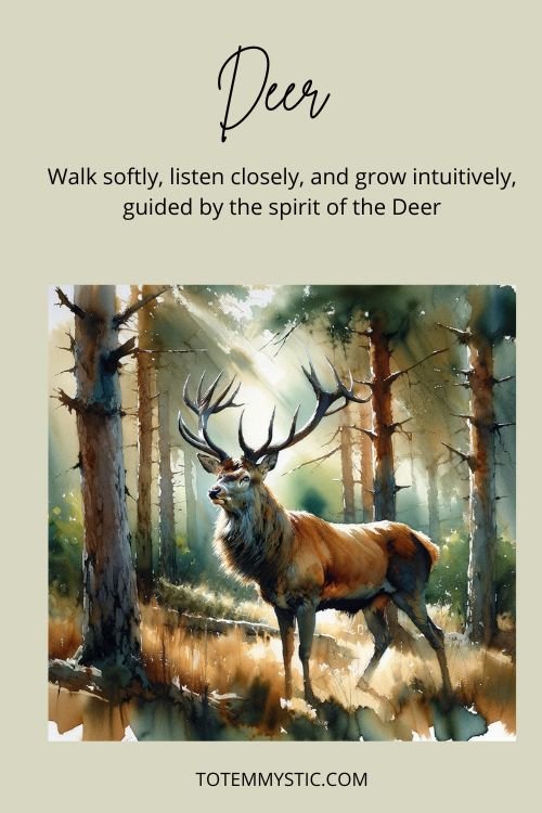 Spirit animal deer