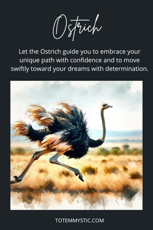 Spirit animal ostrich