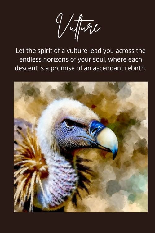 Spirit animal vulture